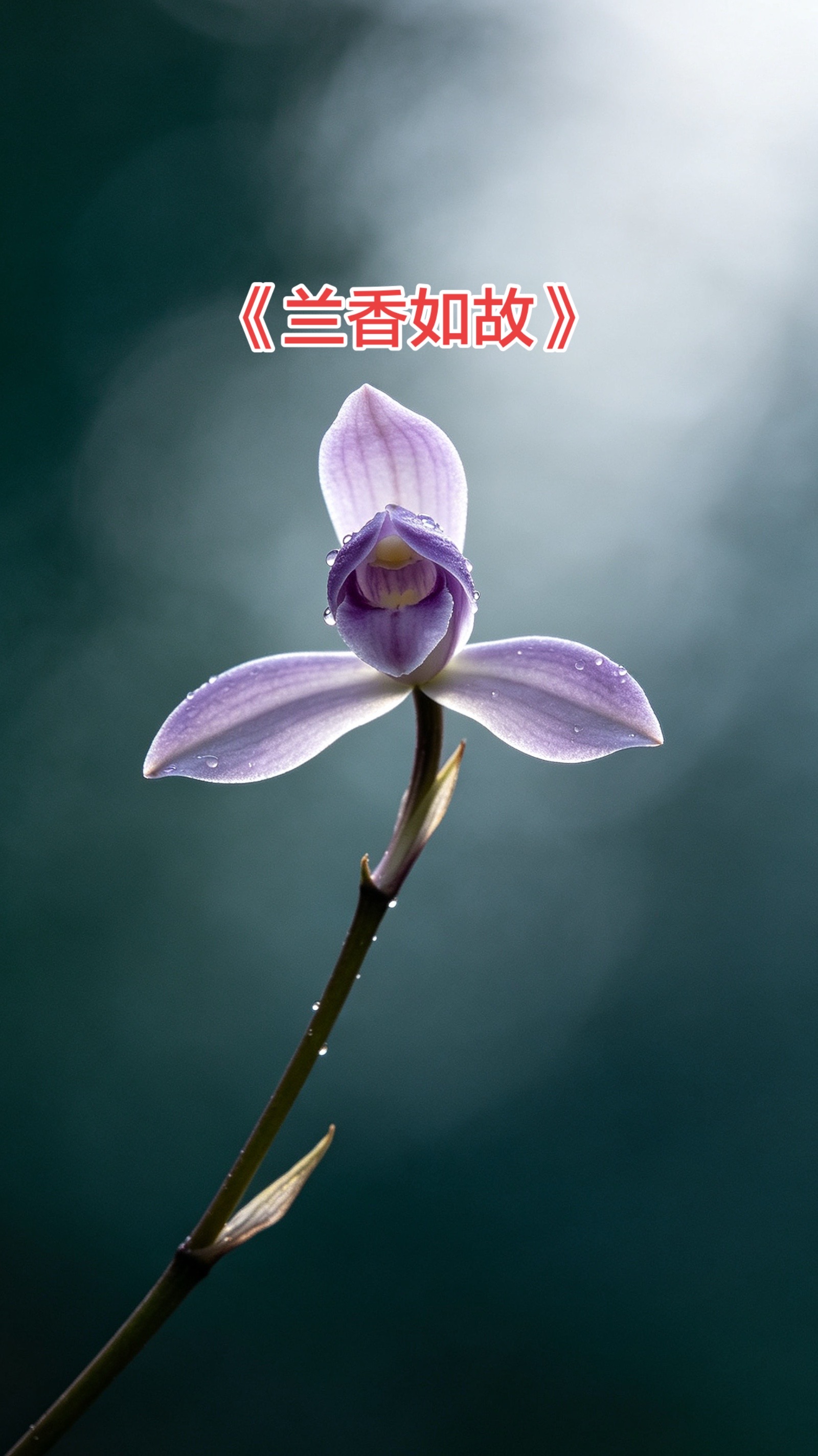 一身傲骨，奈何命运弄人。
荣华散尽，只剩一缕兰香。看完《兰香如故》内心满是唏嘘。昔日金枝玉叶，落难之后步步隐忍，世间的万般无奈，全都写在故事里。你们看完是什么感受？