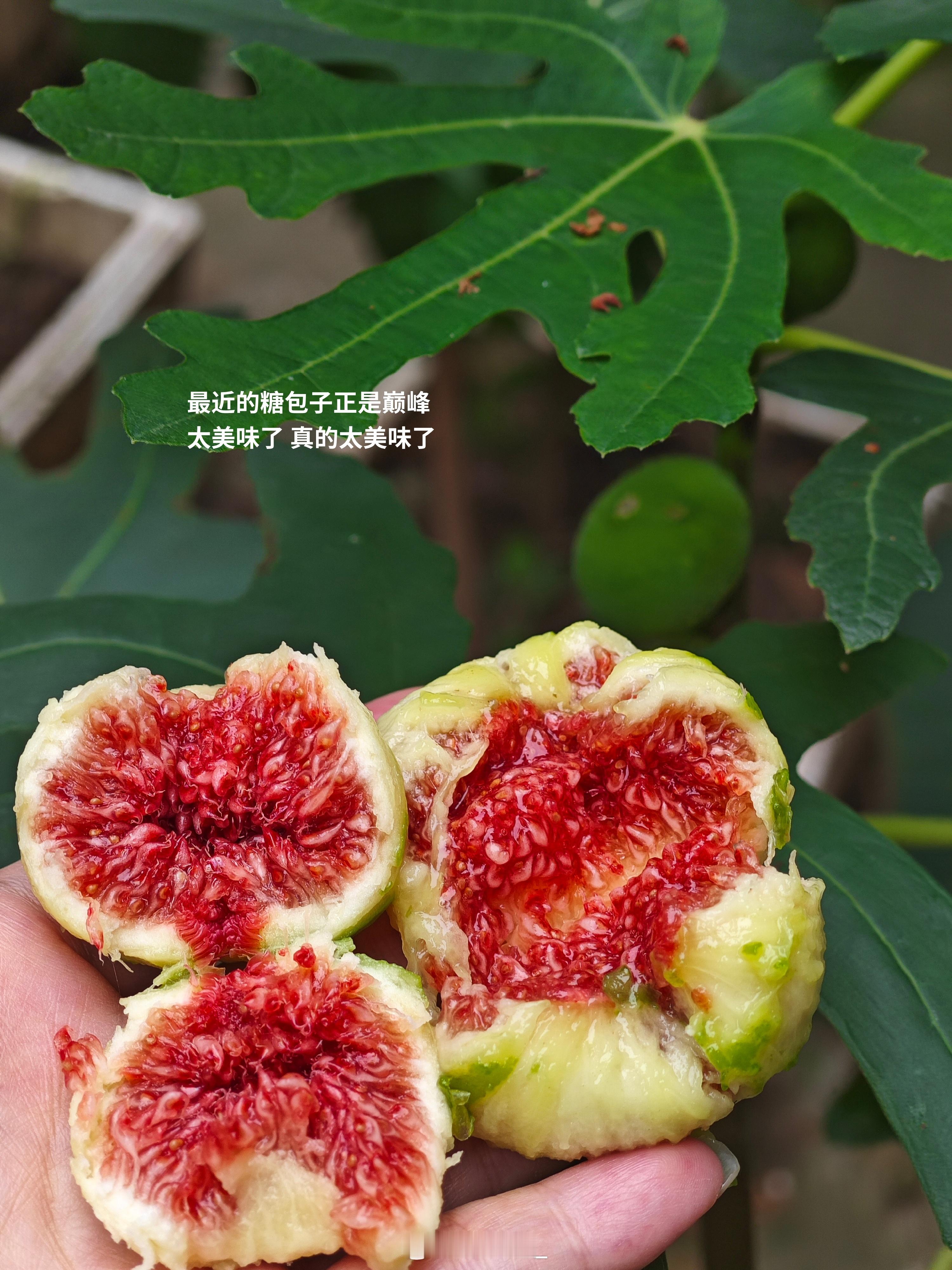生活日记。 ​