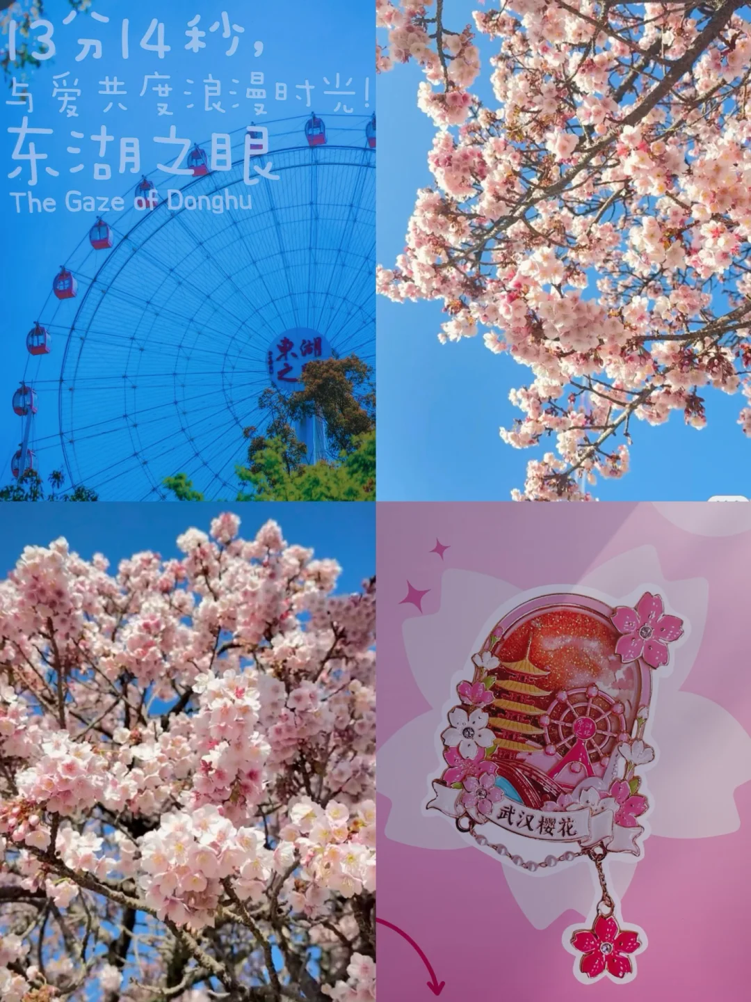🌸武汉东湖樱花暴击！摩天轮+樱花园双攻略