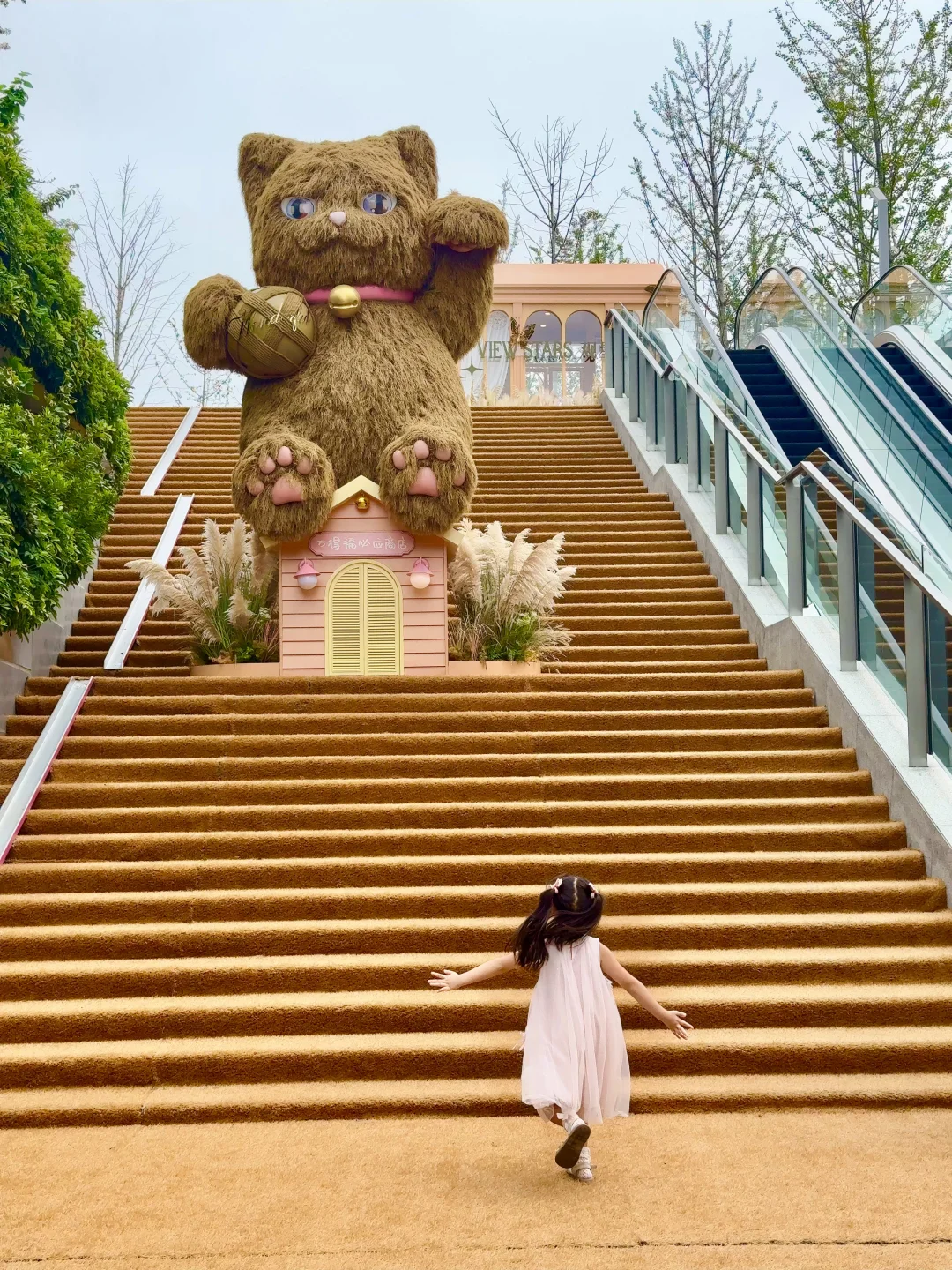 武汉遛娃，偶遇秋日治愈“喵星人基地”啦‼️