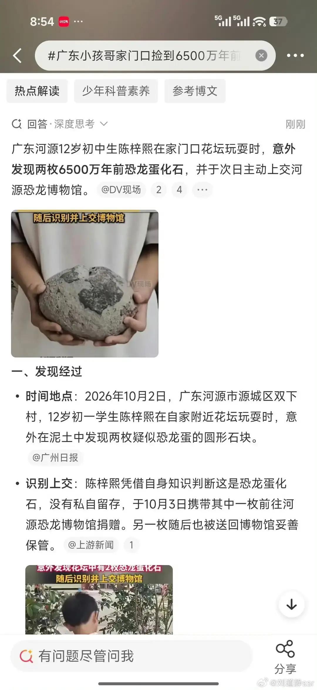 10月2日，河源源城的初中一年级12岁学生陈梓熙，在家附近的花坛玩耍时，意外发现花坛处有两枚恐龙蛋化石。10月3日，他携带其中一枚恐龙蛋到河源恐龙博物馆捐赠。这枚恐龙蛋，呈圆形，直径约14厘米，保存完好；另一枚恐龙蛋随后一并送回博物馆妥善保护处理。

陈梓熙那天其实是在花坛里找他家跑丢的猫。猫没找到