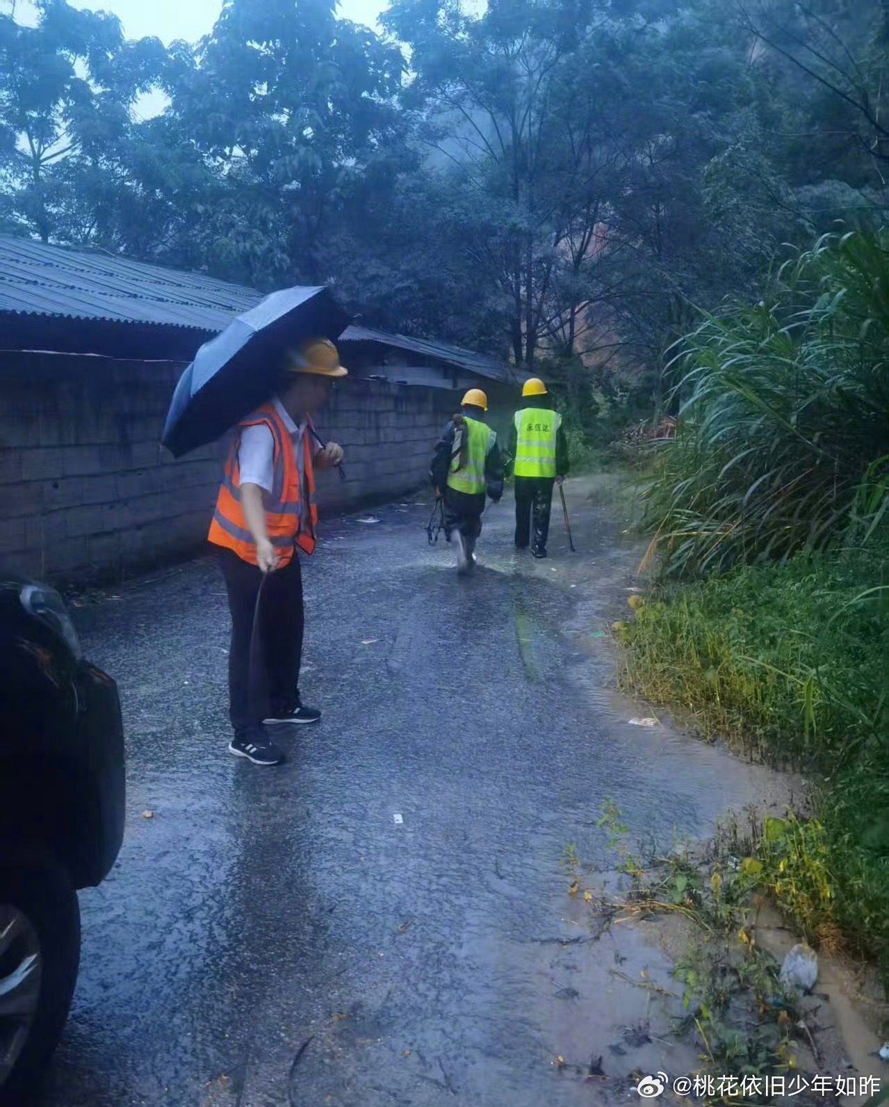 9月5日凌晨，受台风“沙德尔”强降雨影响，江西遂川县高坪镇明坑村突发泥石流，已致1死11失联，救援力量正全力挺进灾区。  一、灾情与人员伤亡- 时间地点：9月5日凌晨4时许，江西省吉安市遂川县高坪镇明