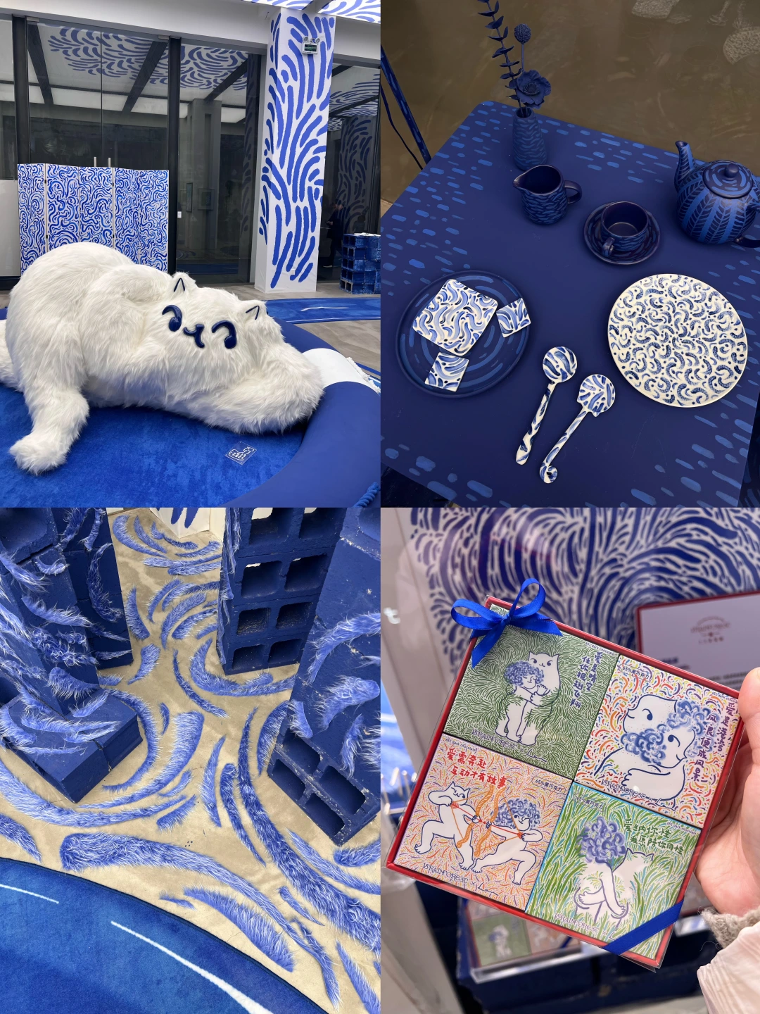 现所新开的展览！超可爱猫猫与蓝色宇宙💙