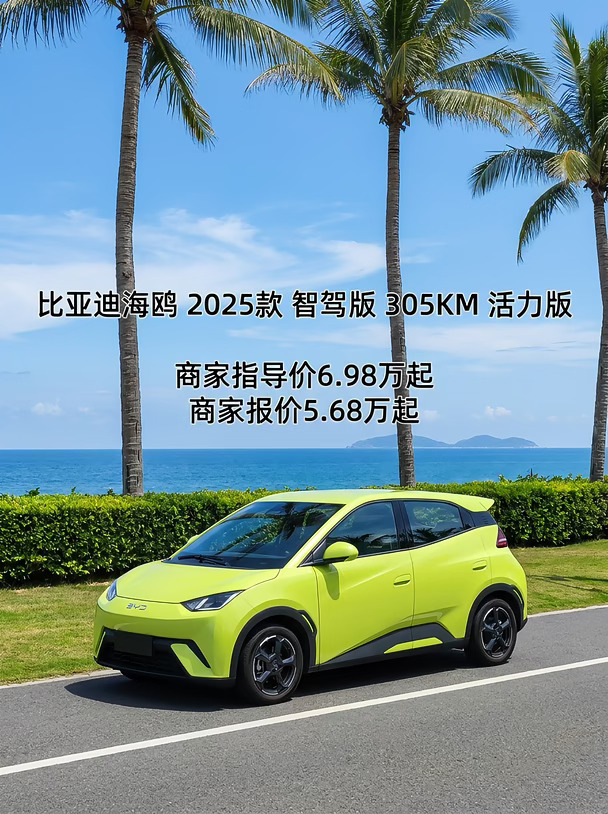 谁懂啊😭国民代步比亚迪海鸥，海边椰林