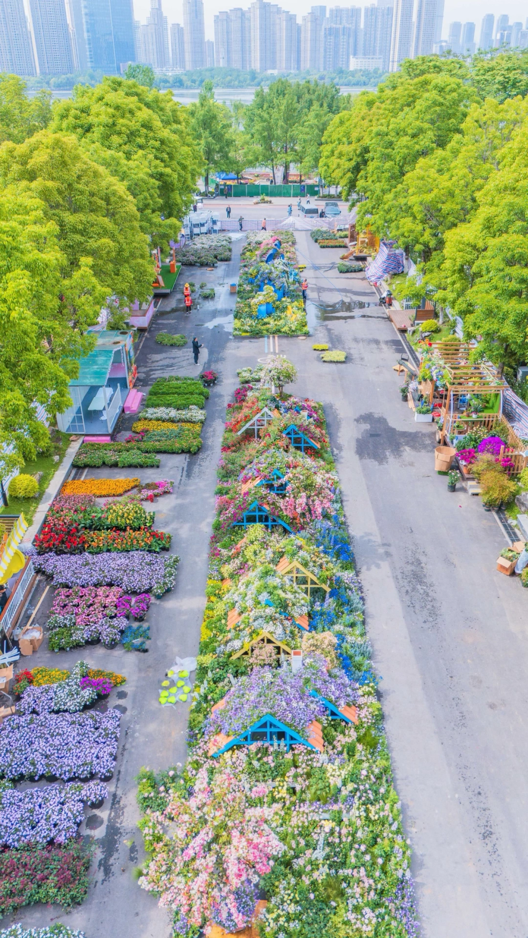 可惜你不在武汉，不知道沙湖公园有多美‼️