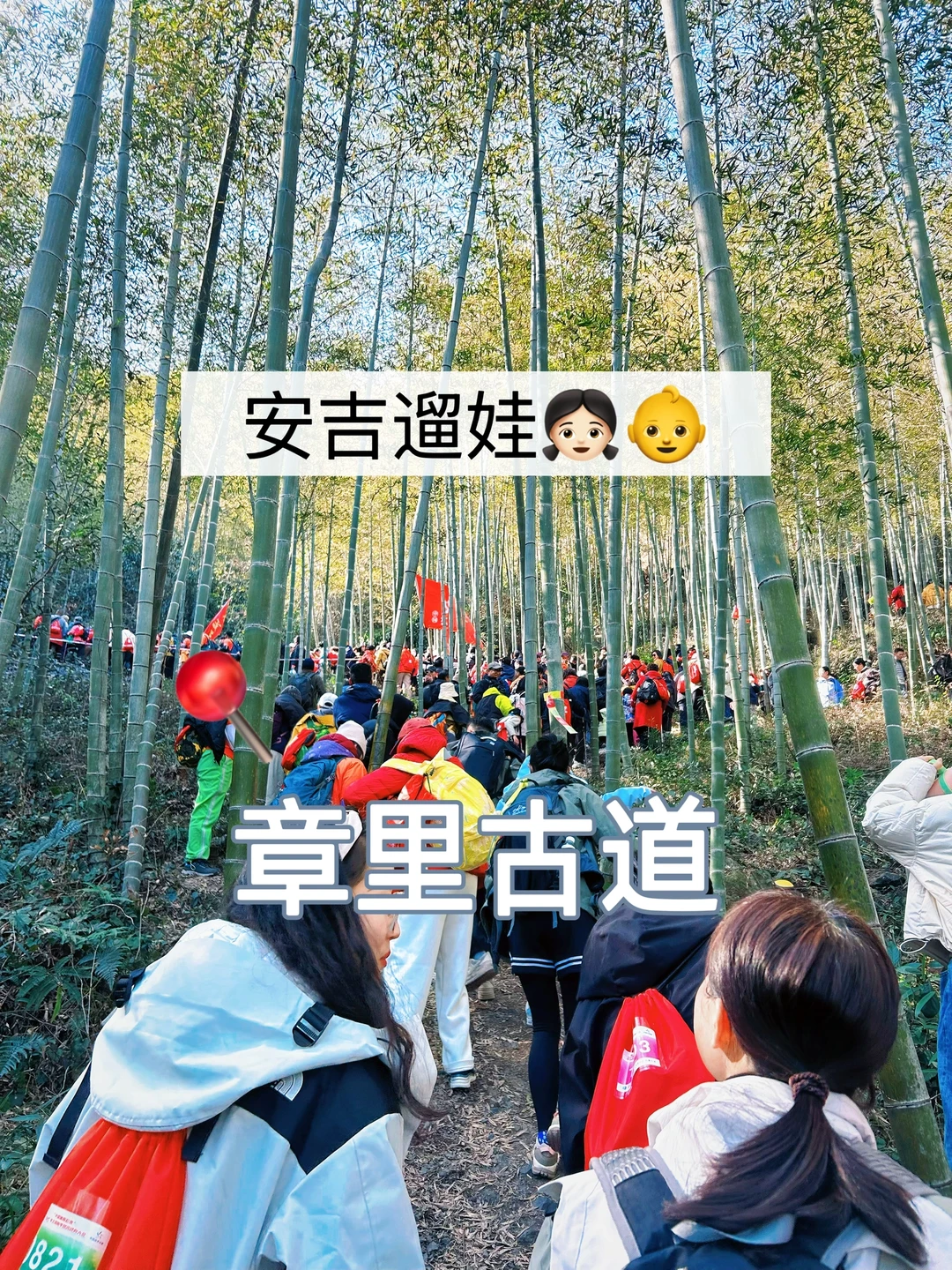 安吉遛娃3️⃣本地人刷N遍 不会厌的古道