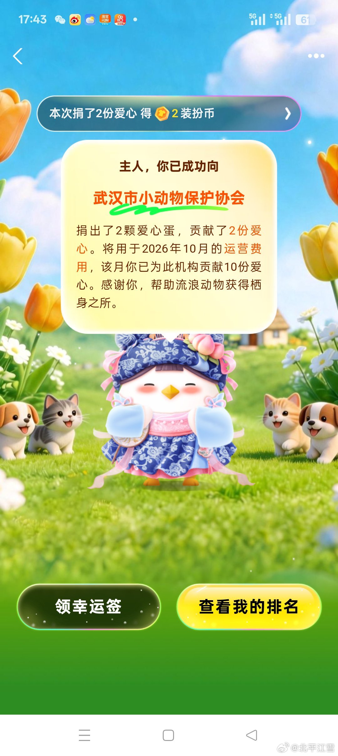 #领养代替购买[超话]##救助流浪动物##救助流浪狗##救助流浪猫# 支付宝蚂蚁庄园免费喂养小鸡免费捐蛋，大家一起加入拯救这些可怜的生命 ​