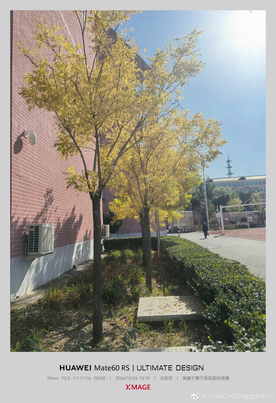 北京进入了阴天室内最冷，晴天室外最美的日子。#摄影[超话]#  ​