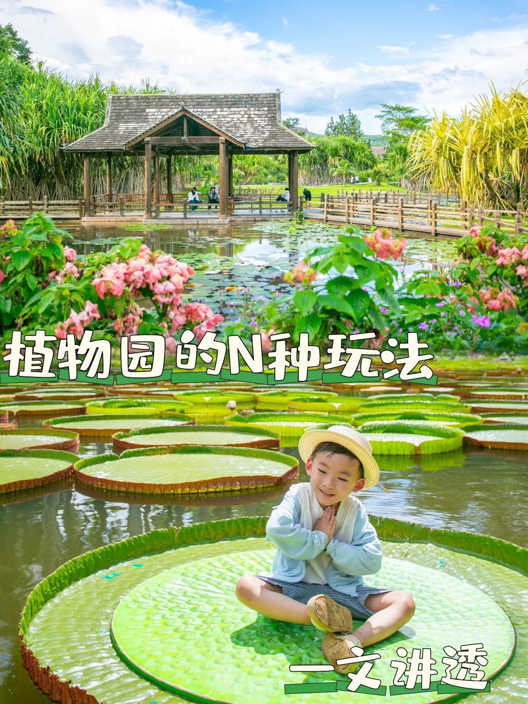 版纳旅行Day3🌴没有更详细的植物园攻略了❗️