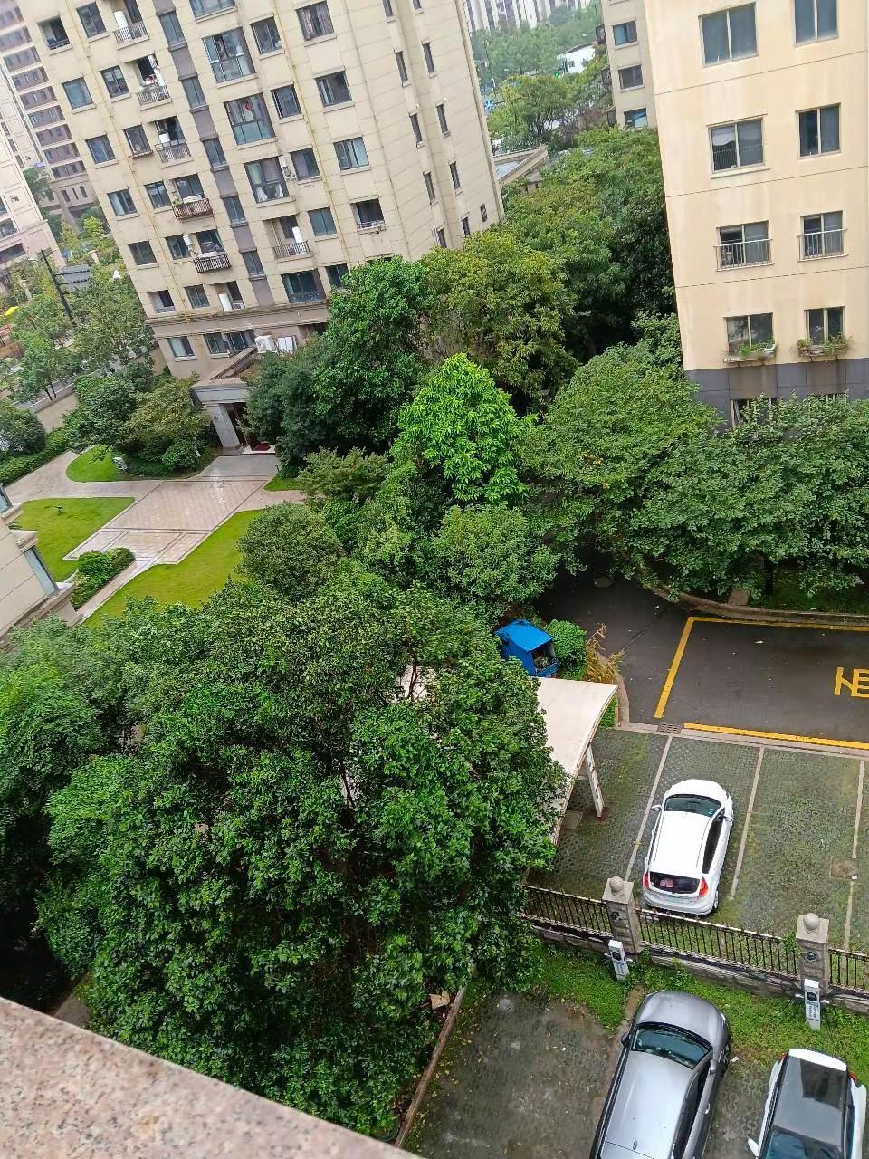 台风来了