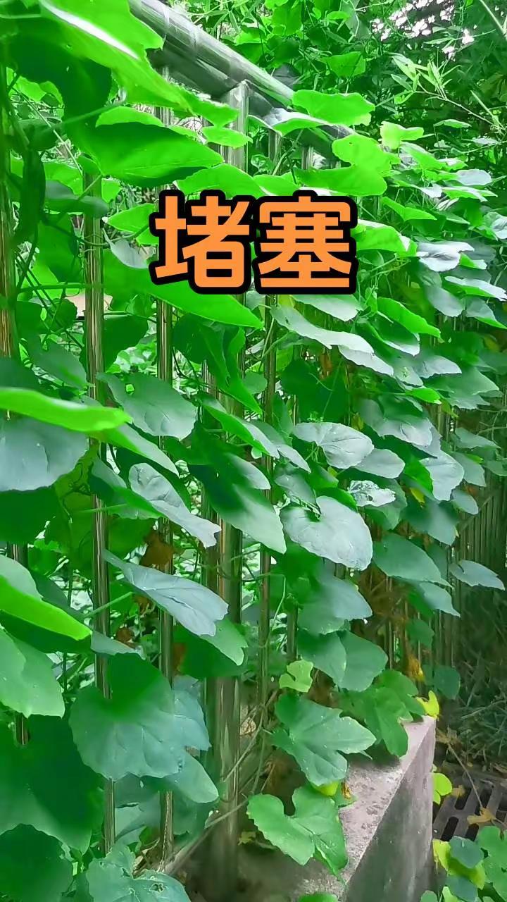 超一流防守大战!丁俊晖极限绝杀凯伦威尔逊，做球解球太精彩了