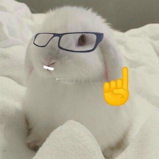 今天的言情小说自助楼来咯，推文找文交流互助你们随意 [大学生能飞] ​