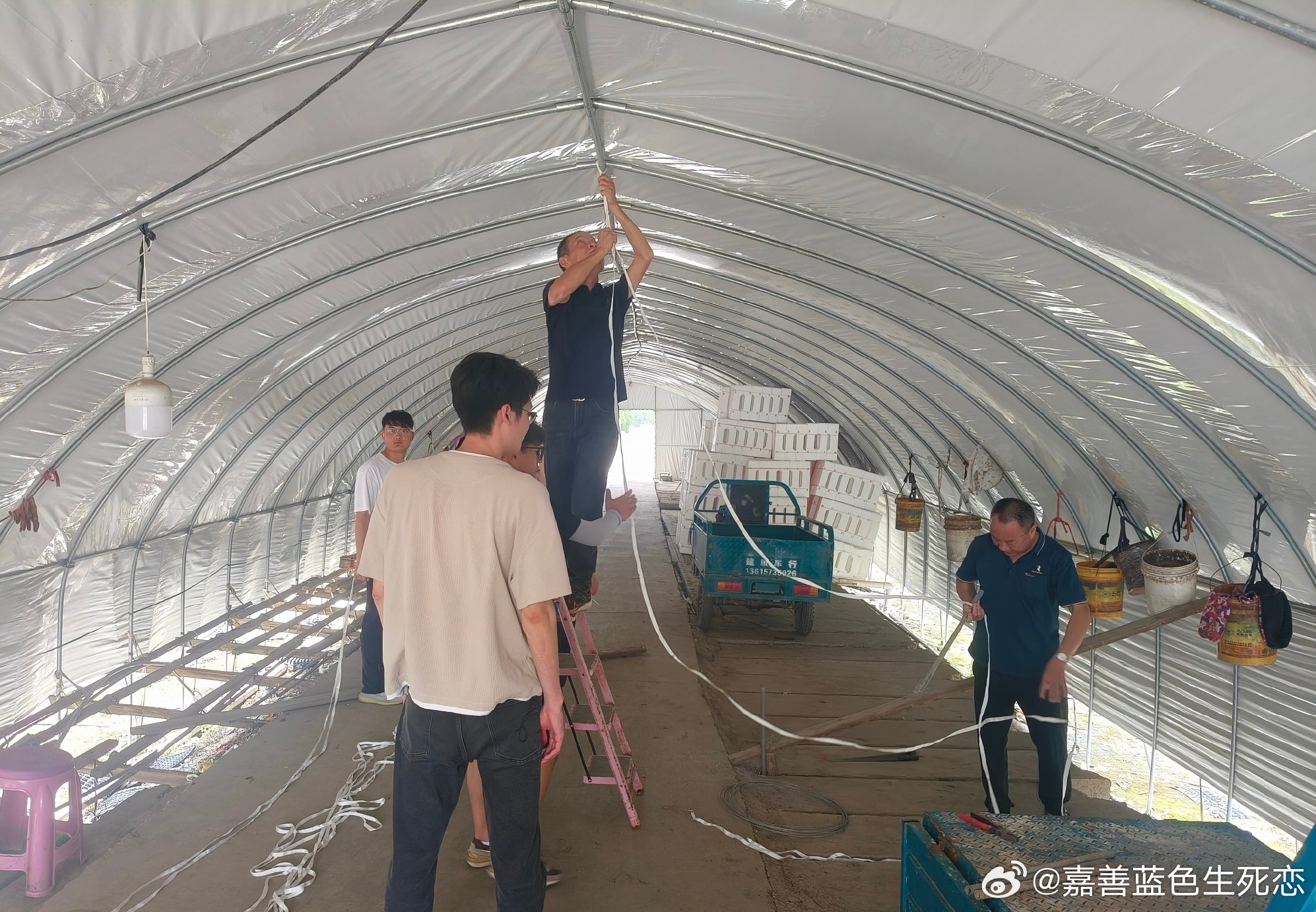 台风“巴威”步步逼近，嘉善县天凝镇风势渐急。洪南村连片农业大棚区域农户...