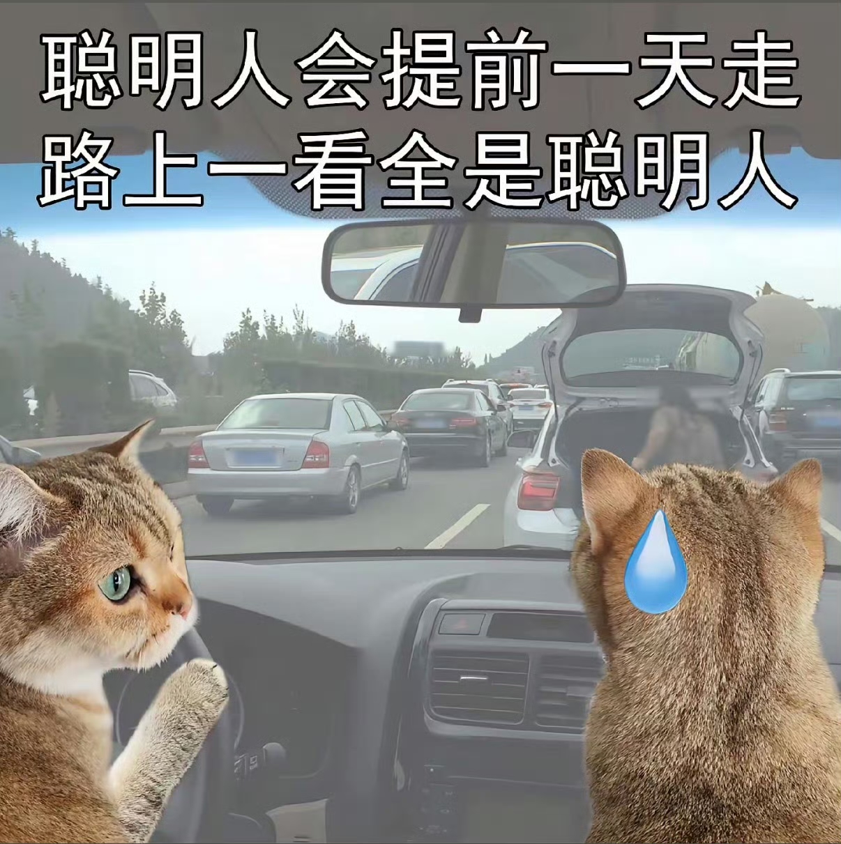 第一批聪明人堵在路上了全网爆笑刷屏！错峰出行变集体扎堆

国庆假期未至，第一批聪明人堵在路上了火速冲上热搜，看完网友经历，真是又好笑又真实。原本想请假提前出发、错峰避堵的聪明人，最后齐刷刷堵在高速，上演大型“全员翻车”现场。

往年国庆首日高速必定人山人海，无数车主堵到心态崩溃。今年大量网友吸