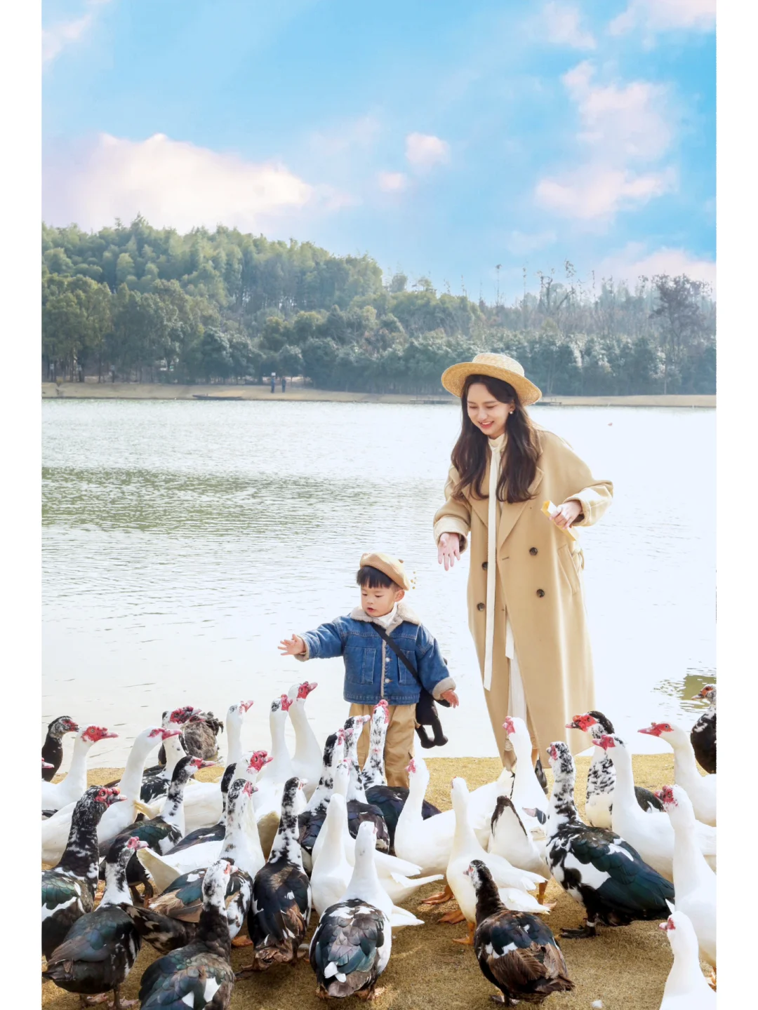 武汉周边游｜宝藏免费湿地公园来看仙鹤放飞