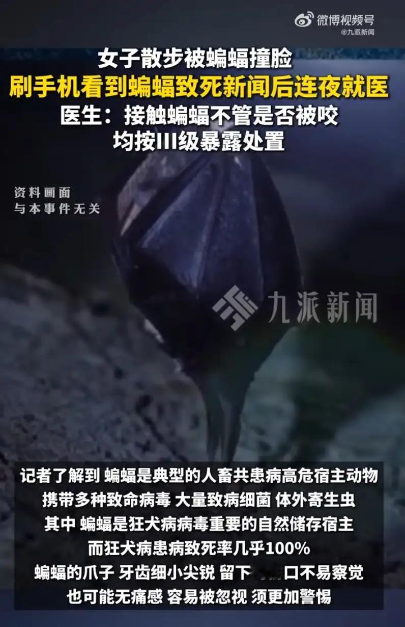 有点被吓到了。小时候抓过蝙蝠，玩过蝙蝠，最喜欢做的事就是两只手捏着蝙蝠的翅膀，把它拉的长长的。
家里的老人告诉我，蝙蝠是吃了盐的，老鼠变的。那时候好奇心太重，特意去捉了它，想看看它跟老鼠有什么区别。
这个新闻告诉我们，蝙蝠也不是好惹的。