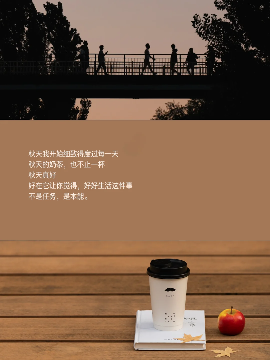 秋天是让人想要好好生活的季节🍎