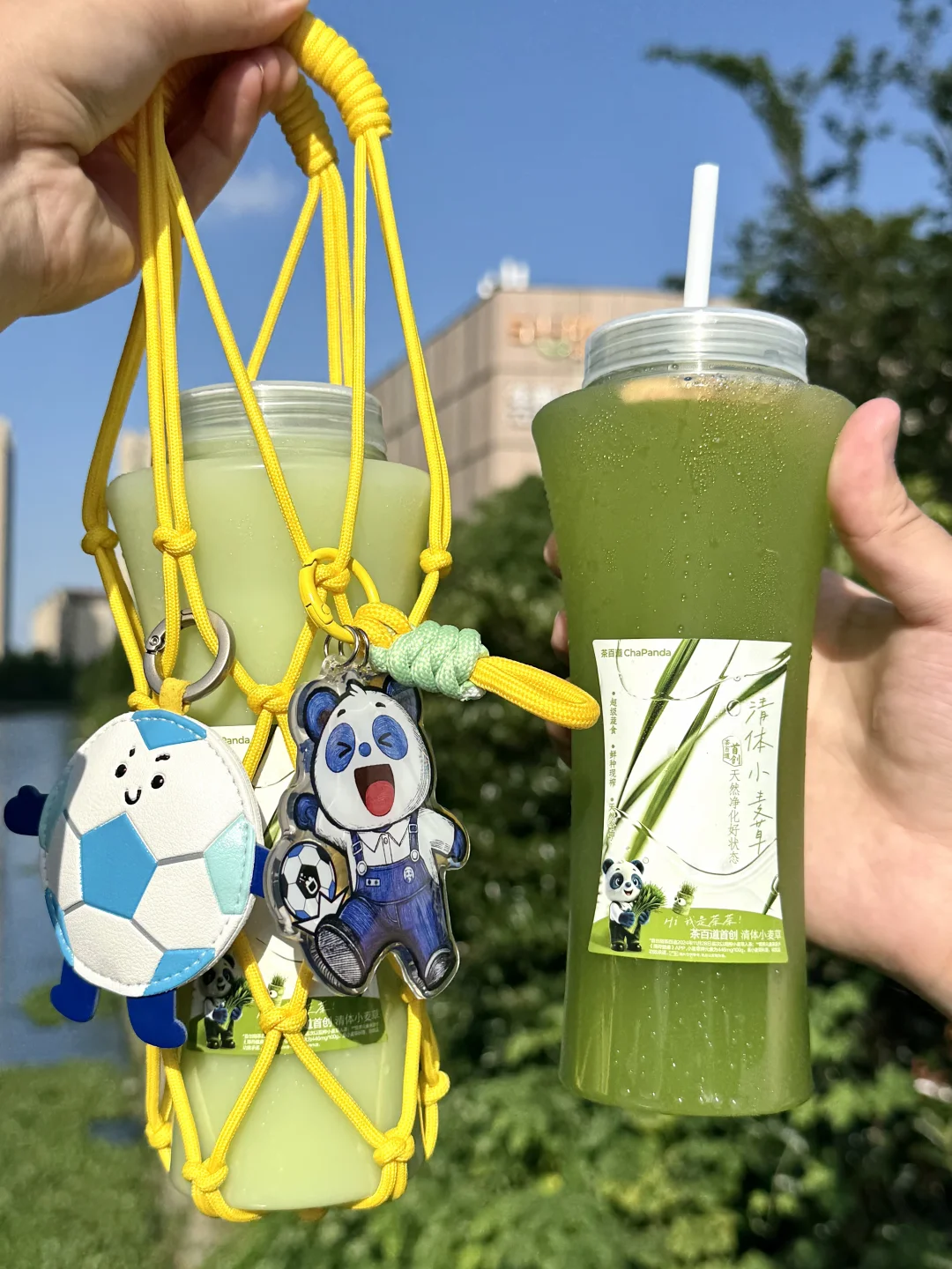 谁懂！喝小麦草就能get可爱的茶茶球网包⚽