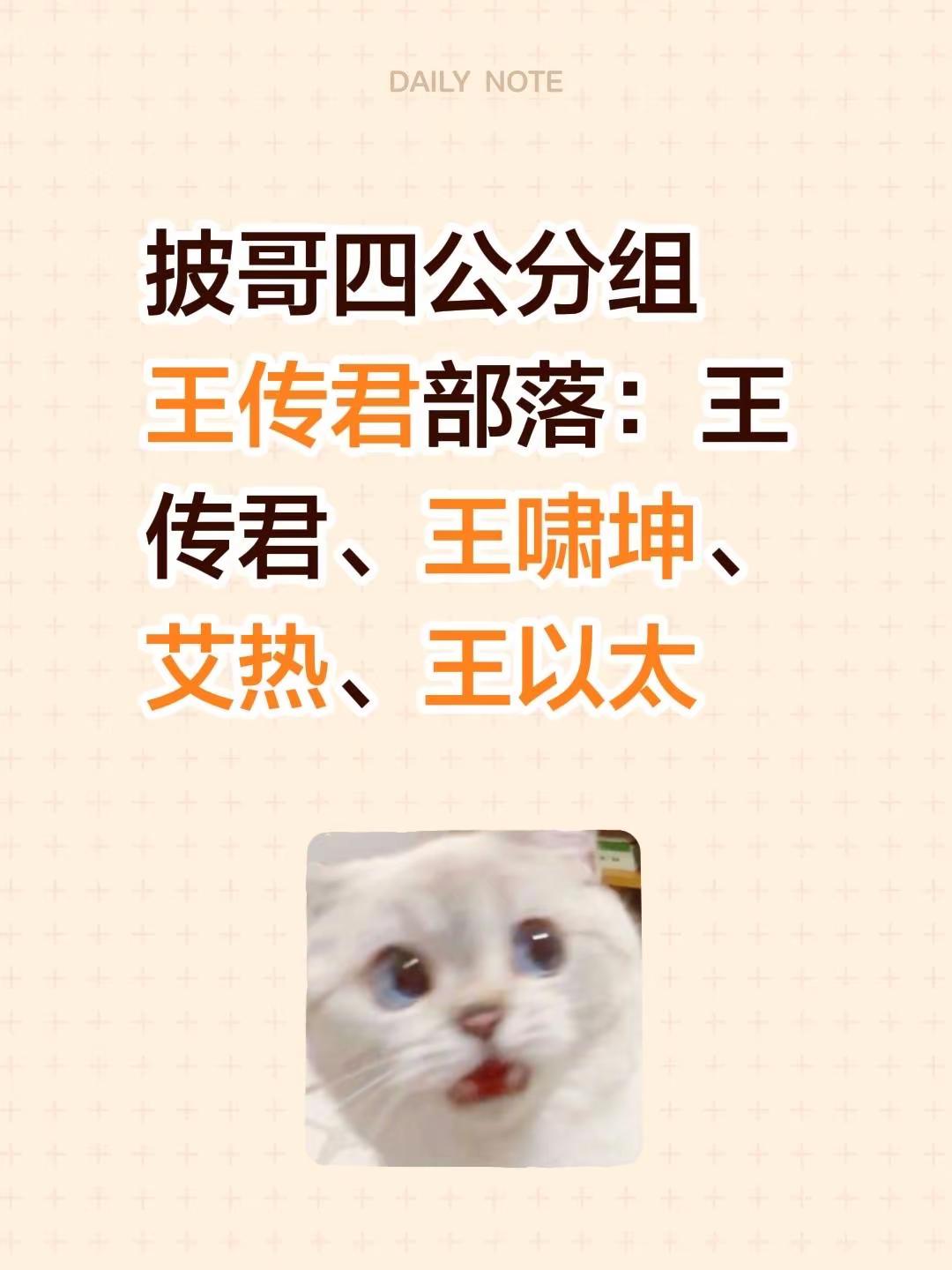 双王不分家 艾火锁到底。披哥四公分组王传君部落：王传君、王啸坤、艾热、王以太