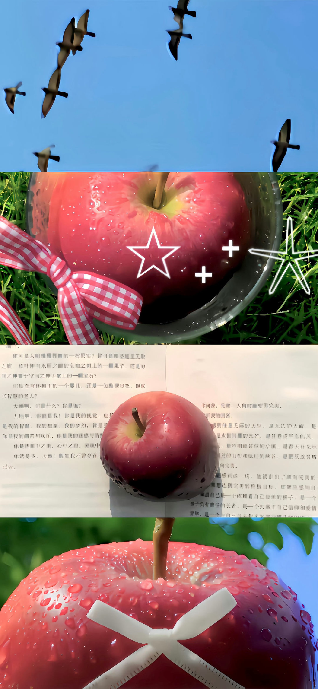 最近收藏的锁屏壁纸[彩虹屁] 

#金秋壁纸大放送# ​​​
