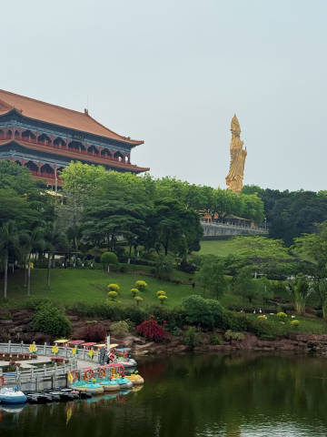 和小先生来莲花山爬了两座山头，导致完全摊着不想动哈哈哈~ <br />...