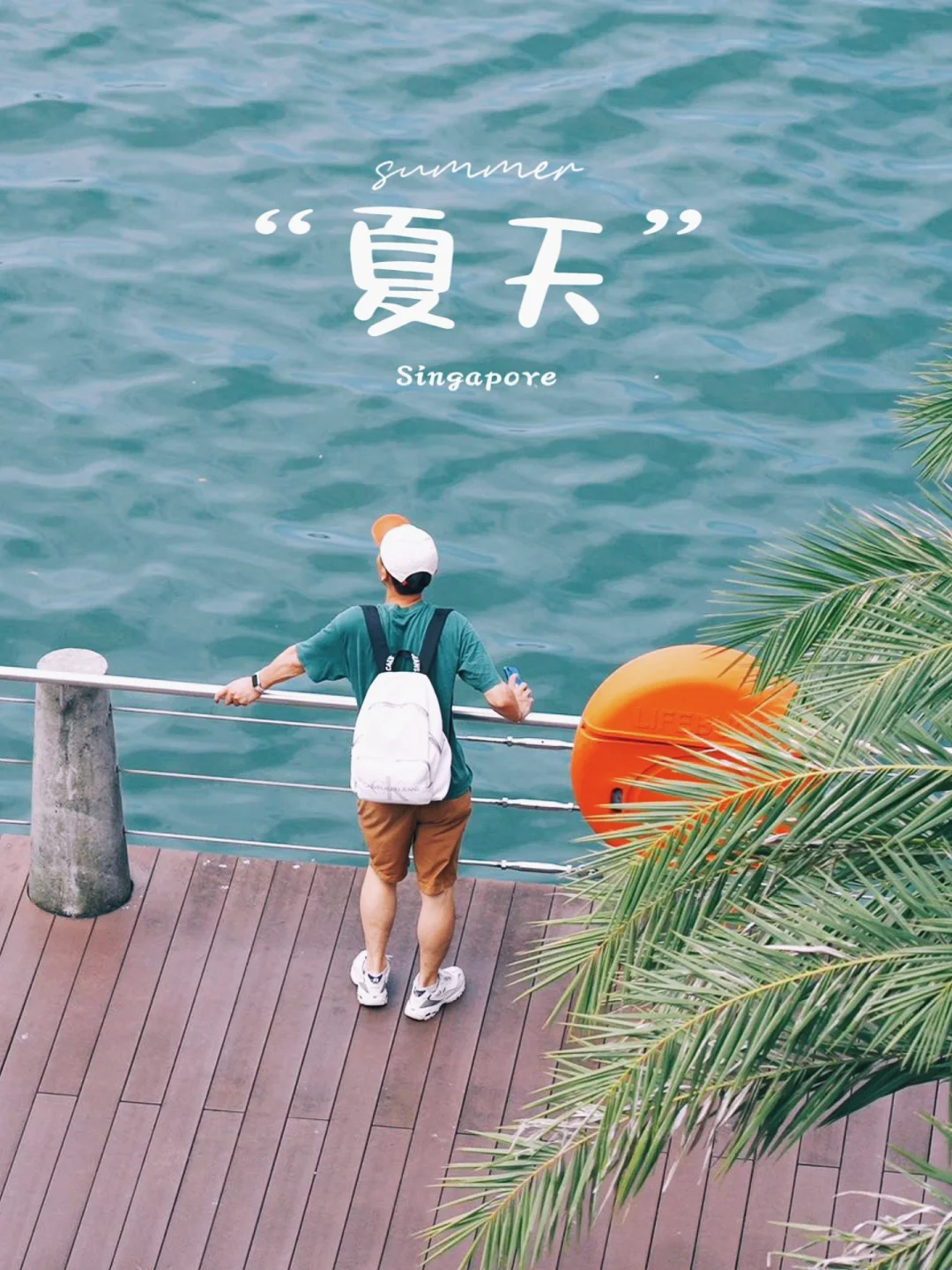 N刷新加坡总结的攻略，含吃喝玩乐