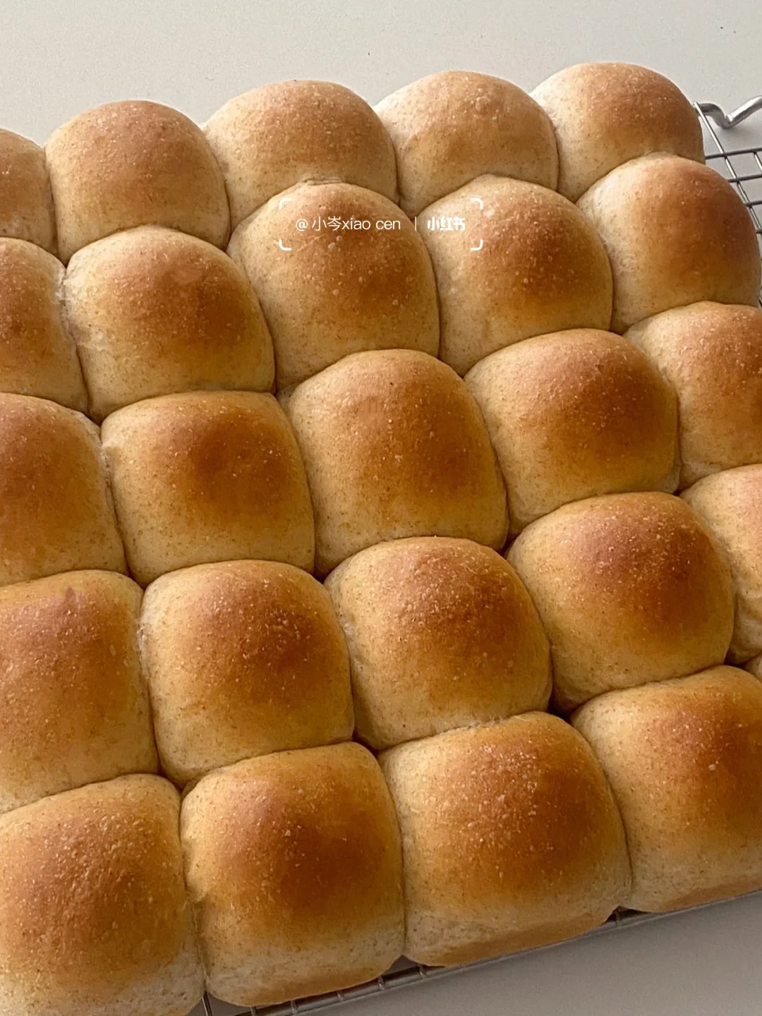 全麦黄油餐包｜零失败配方分享