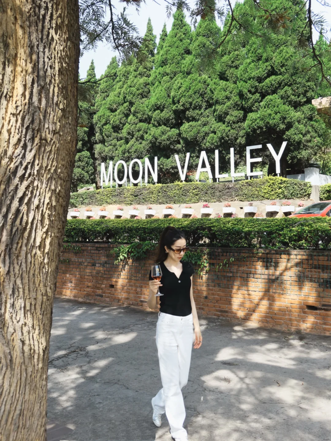 𝕄𝕠𝕠𝕟 𝕍𝕒𝕝𝕝𝕖𝕪🌙假装在国外系列