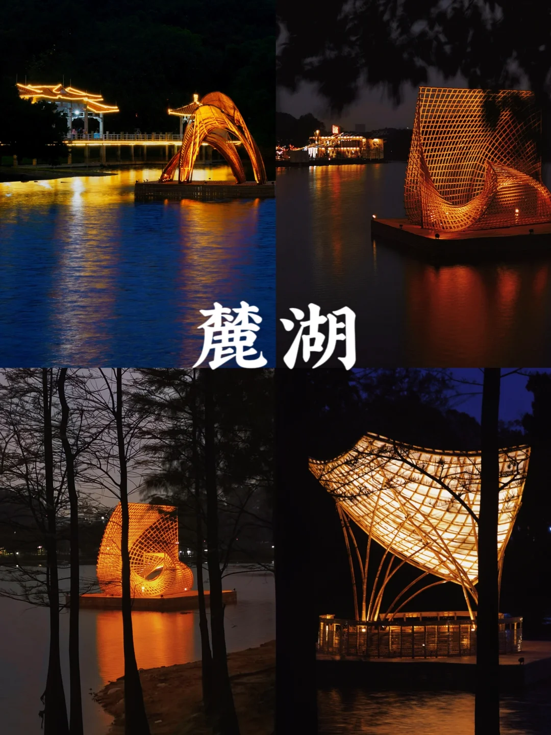 没想到！广州园博会夜景这么浪漫