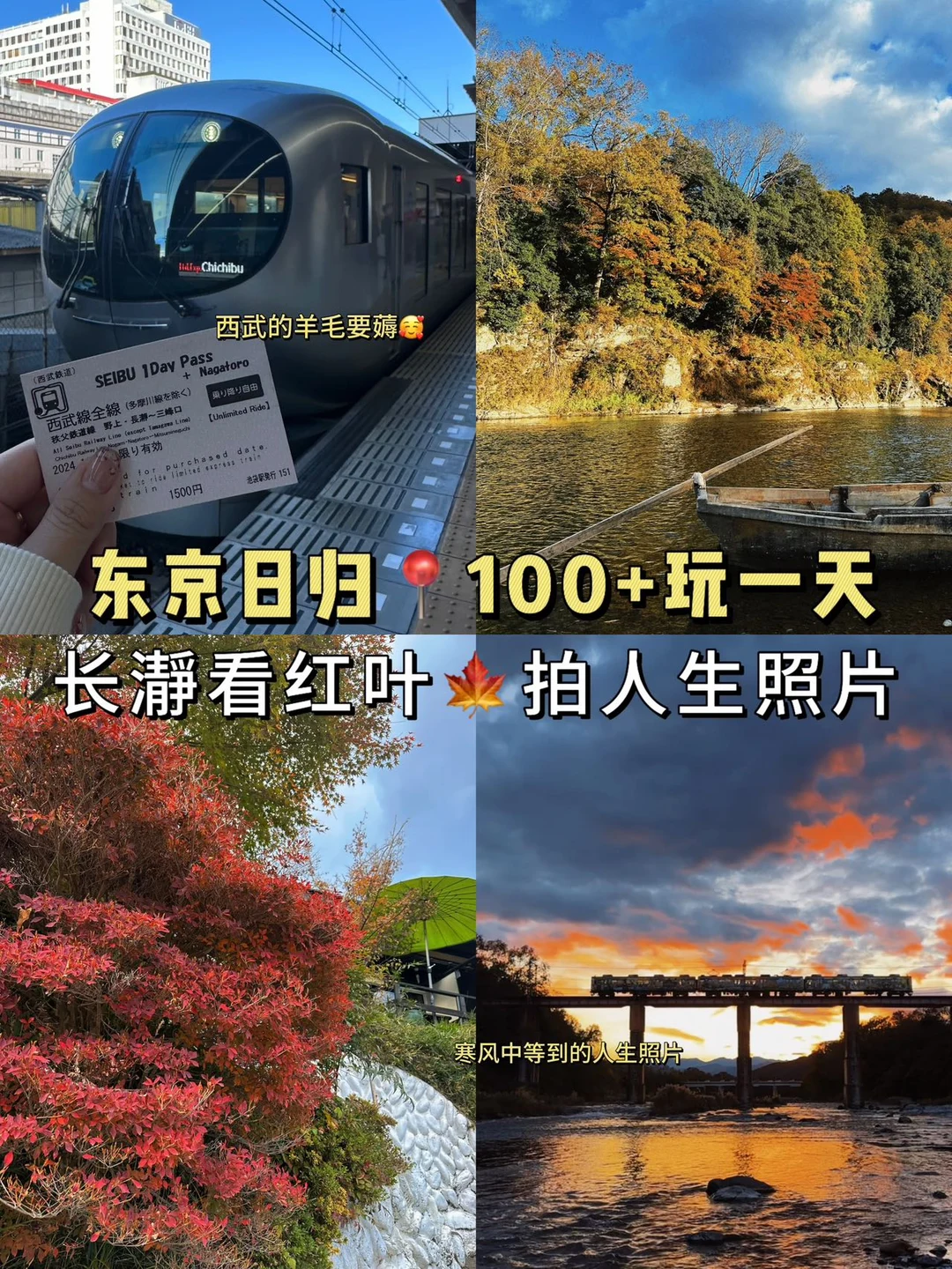 在日本🇯🇵竟然只花了100💰+去長瀞看枫叶🍁