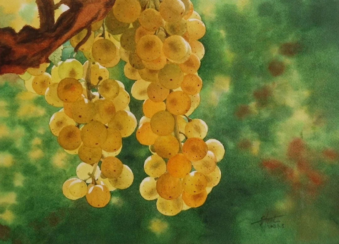 水彩 葡萄