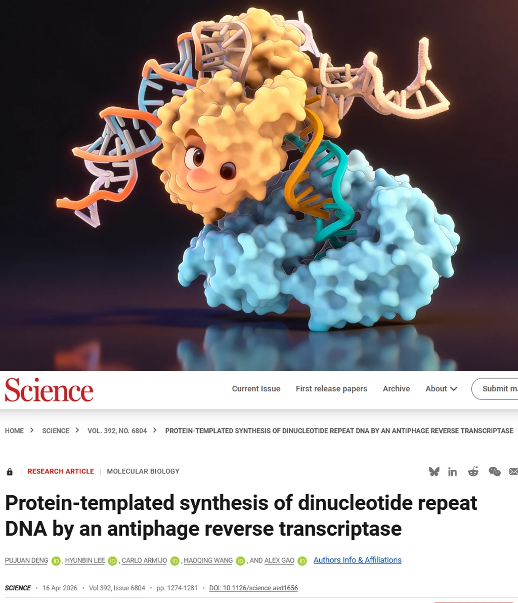 Science改写中心法则—由蛋白模板合成DNA