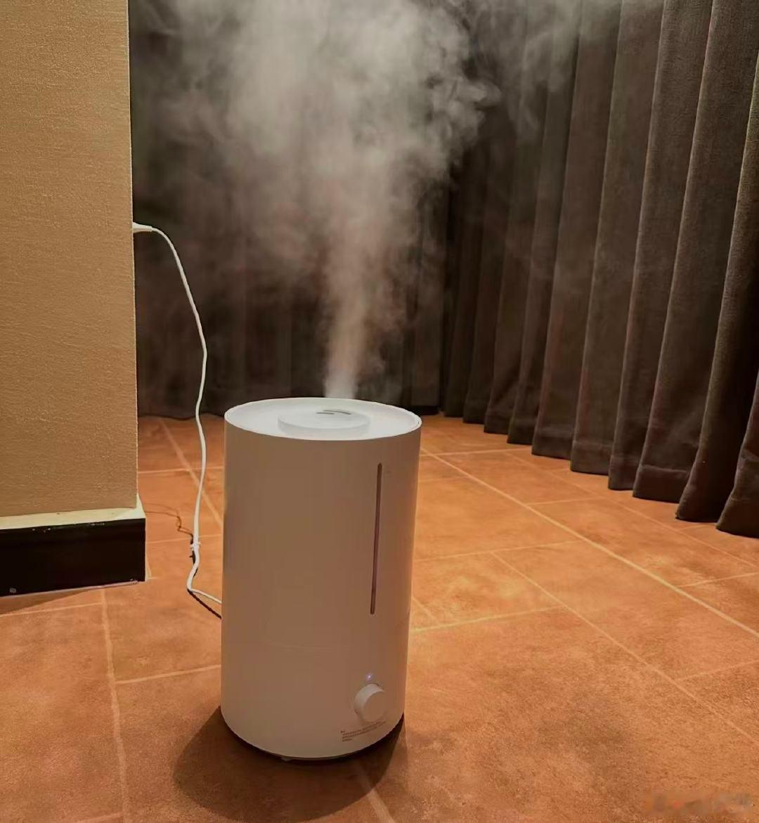 #加湿器加自来水会怎样# 不同类型加湿器，对水质的要求差别还是蛮大的。就比如超声波加湿器会直接把水打成水雾，强烈建议用纯净水，自来水哪怕烧开，也容易喷出矿物粉末。

而蒸发式无雾加湿器靠滤网加湿，滤网能拦住矿物质，凉白开可以用，但滤网要按时更换，不然水垢堆积依然会堵死。所以我在家一般都用纯净水，你们呢？