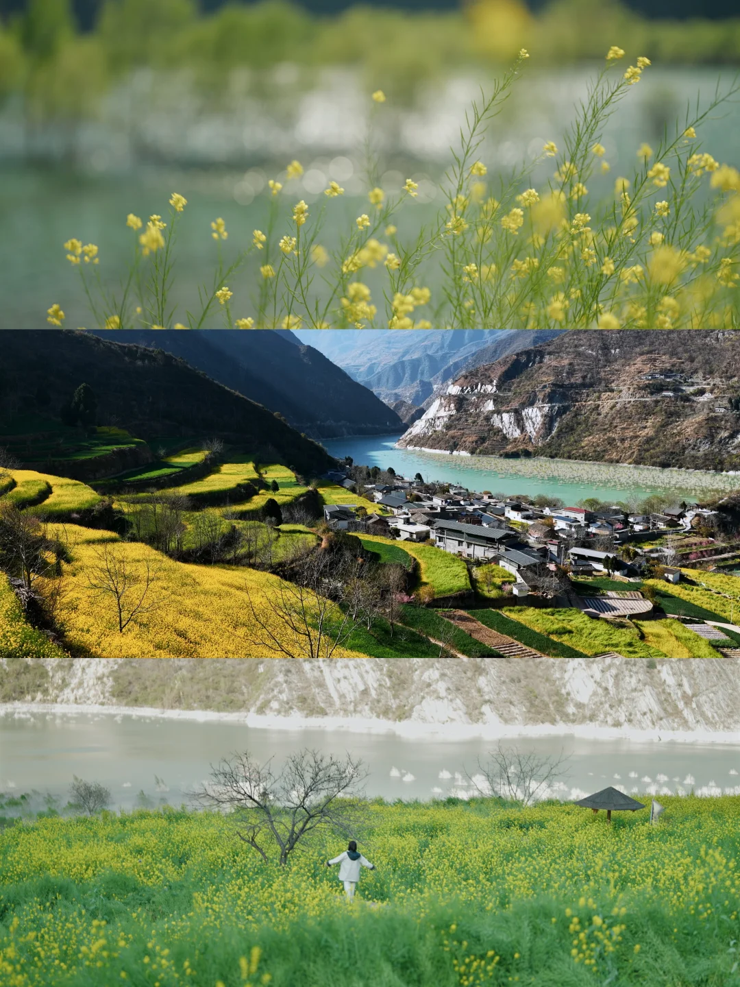 陇南+天水游玩攻略‼️人已上高铁一会见