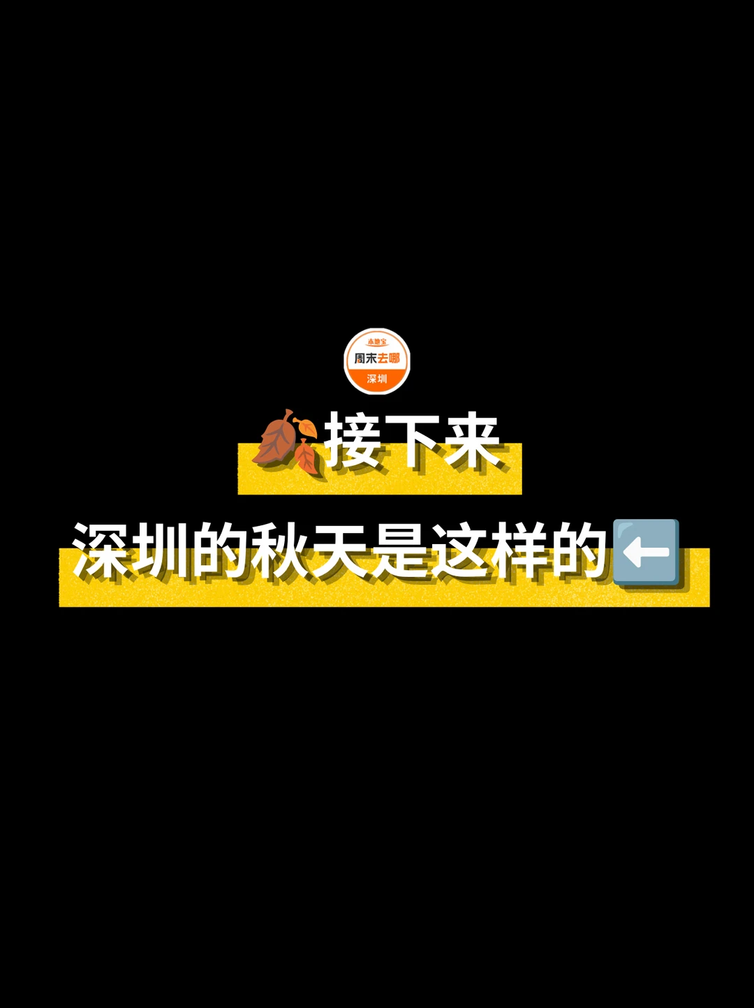 🍂接下来深圳的秋天是这样的。。。