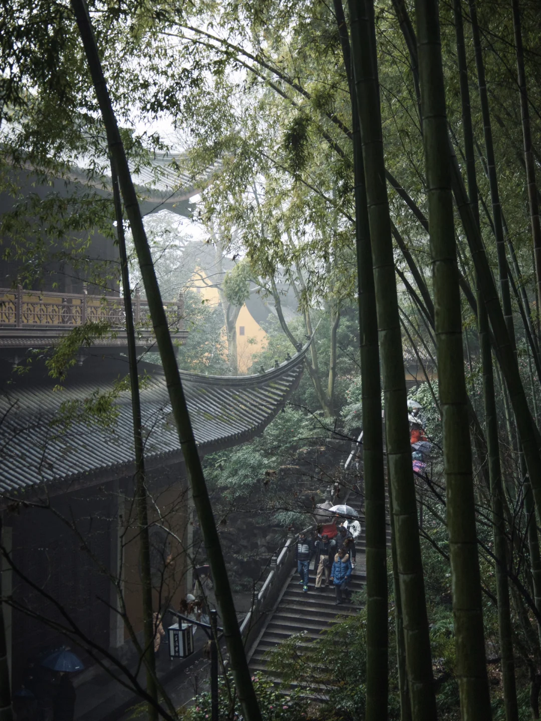 喜欢雨天去灵隐寺！谁懂！！