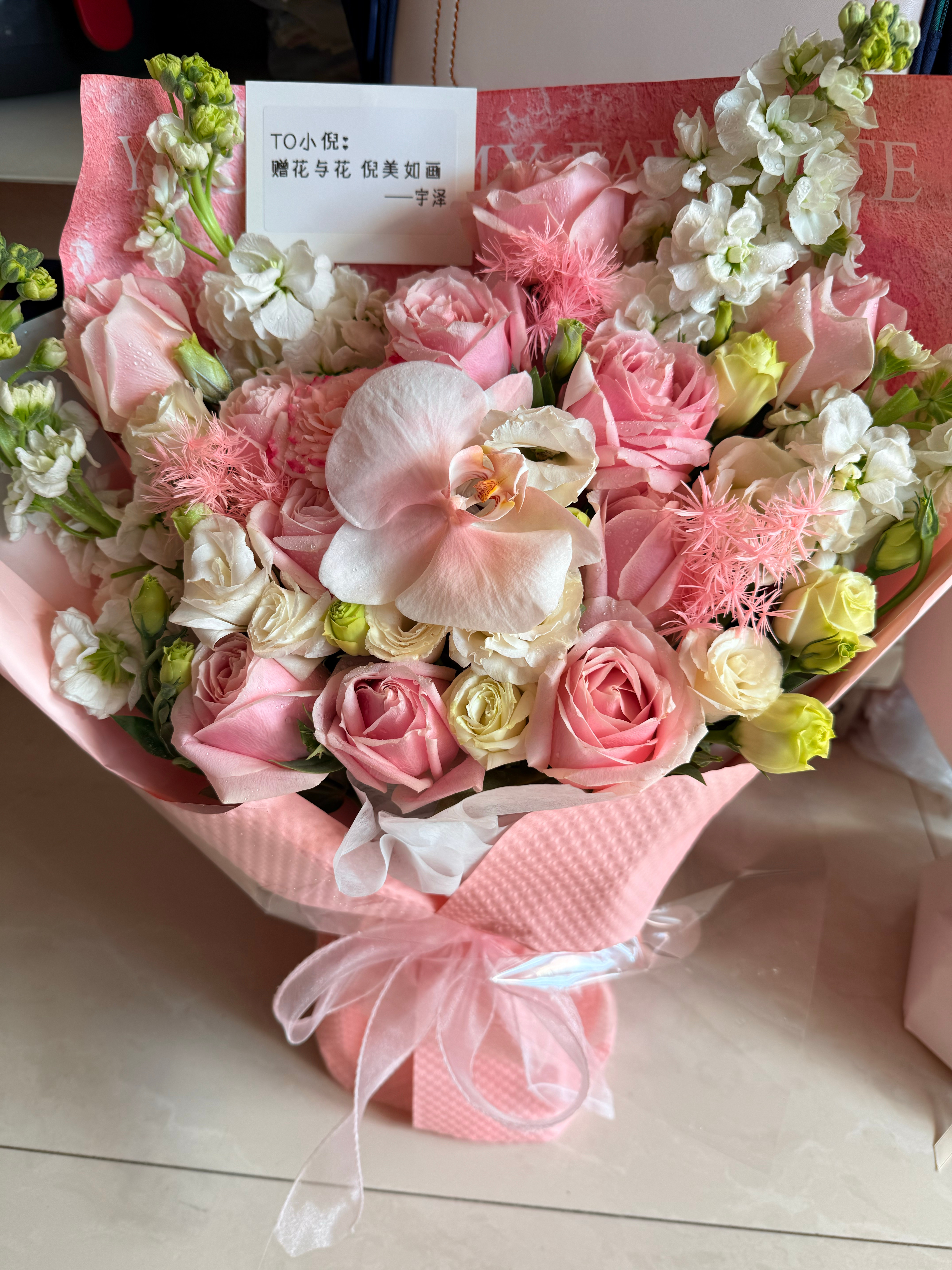 今年的🌸  Ps今天不啵＾3＾下周二一定 不来打死 打死我[写作业]