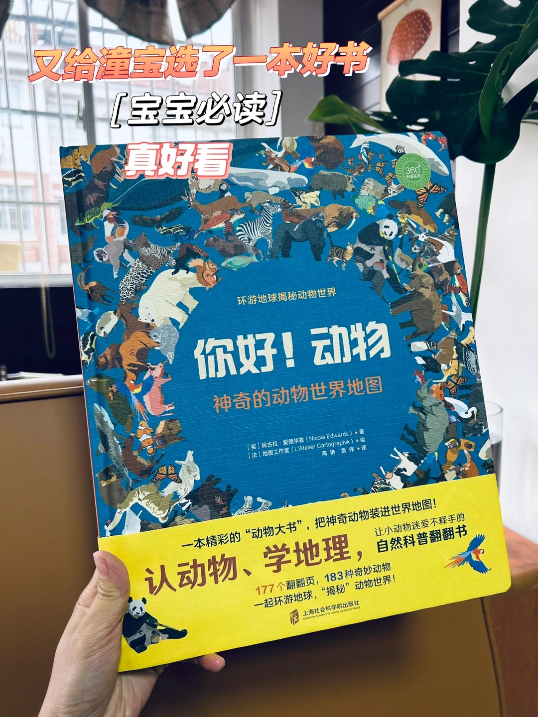 又给宝宝选了一本 童书，太好看了吧