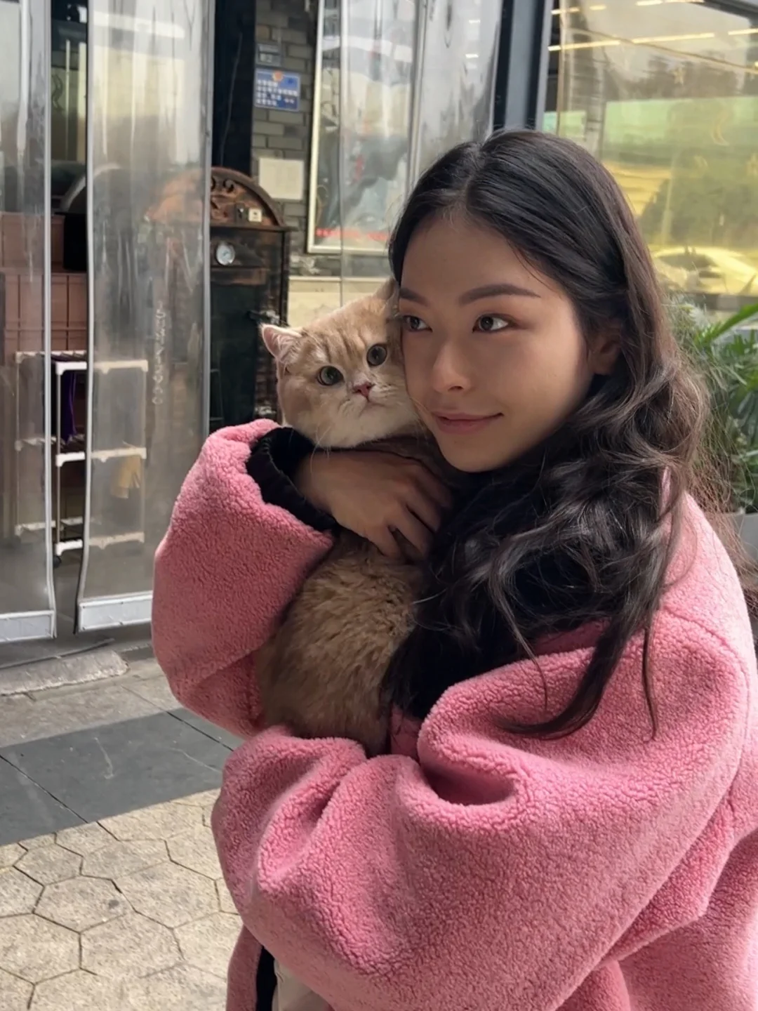 妈宝猫出门就要紧紧贴贴