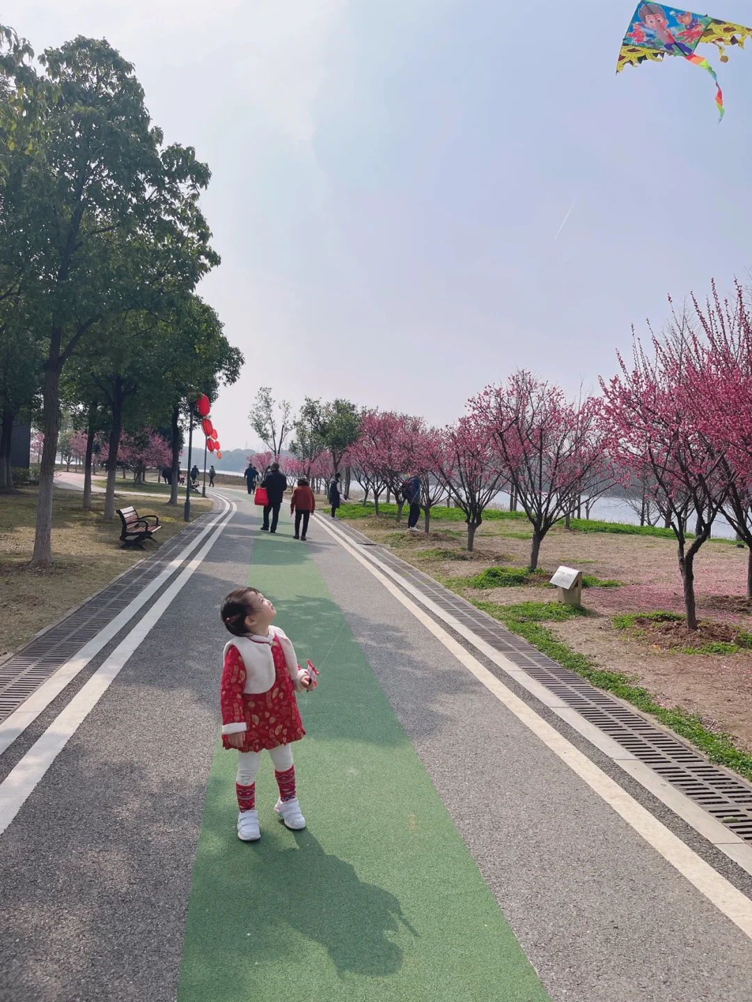 汤湖公园放风筝啦