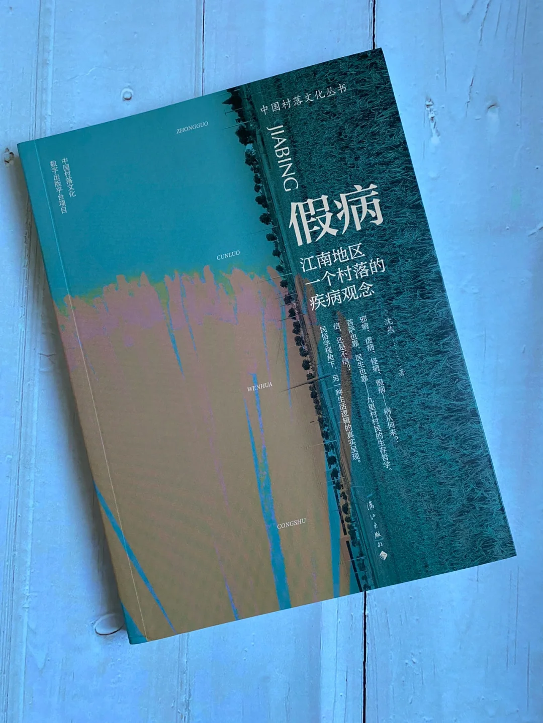 冷门民俗学研究推荐，不科学事件的深入研究