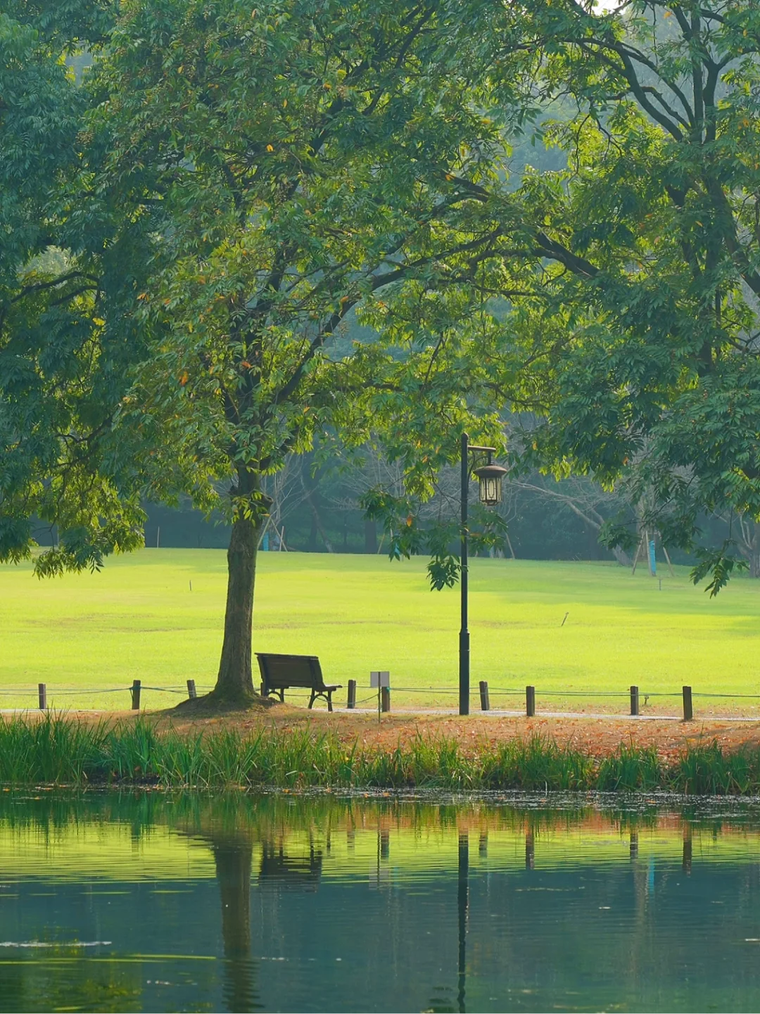 杭州赏秋｜坠入莫奈的油画花园，太治愈了！