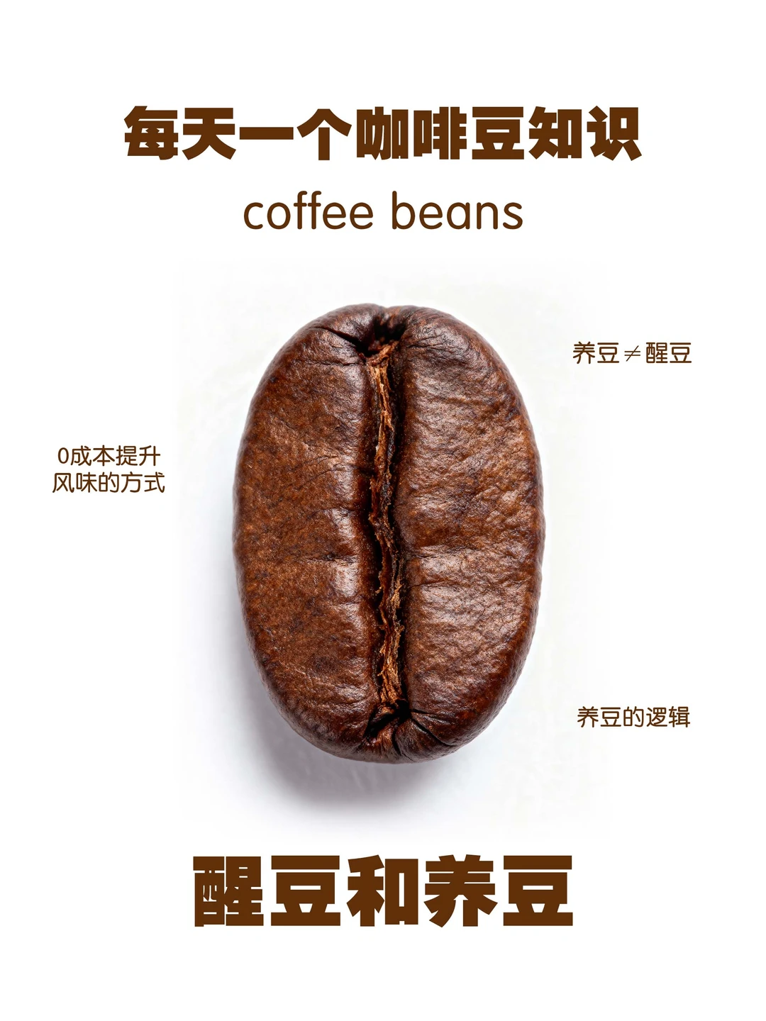 咖啡豆的醒豆和养豆❗一定要养吗？