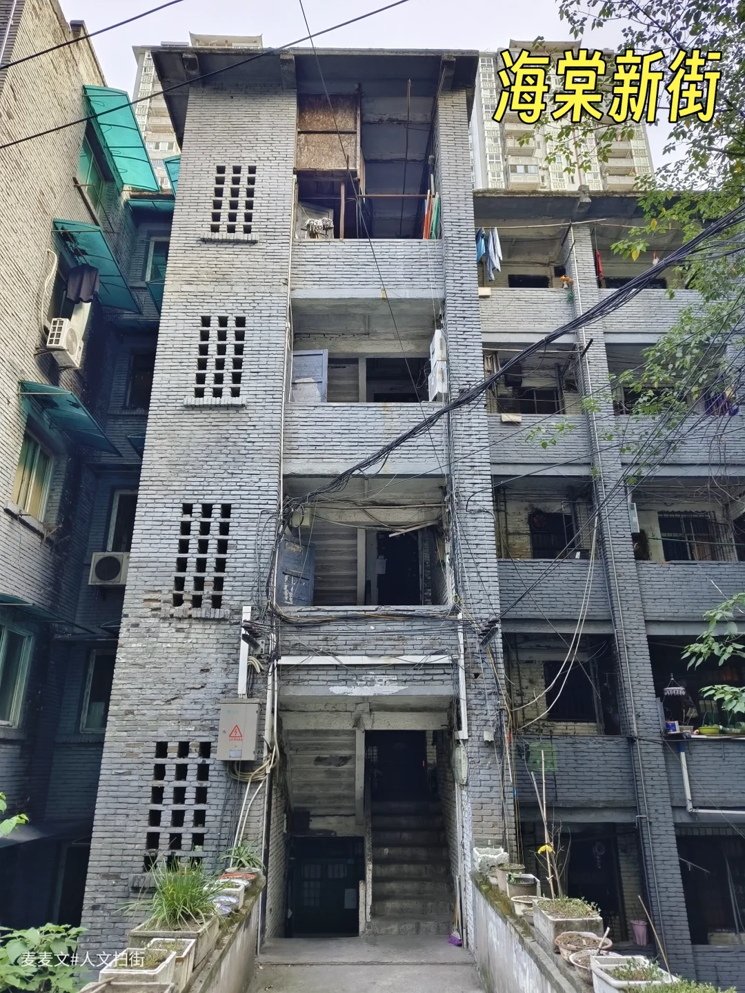 【南岸】海棠新街名字很新，但房子却很旧