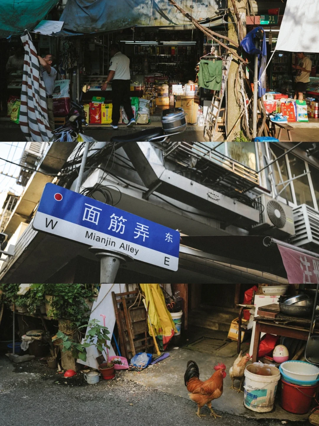 即将消失的上海老弄堂—面筋弄