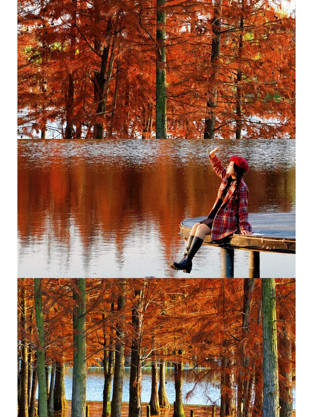 不是大理，在成都邂逅油画般的水杉秘境