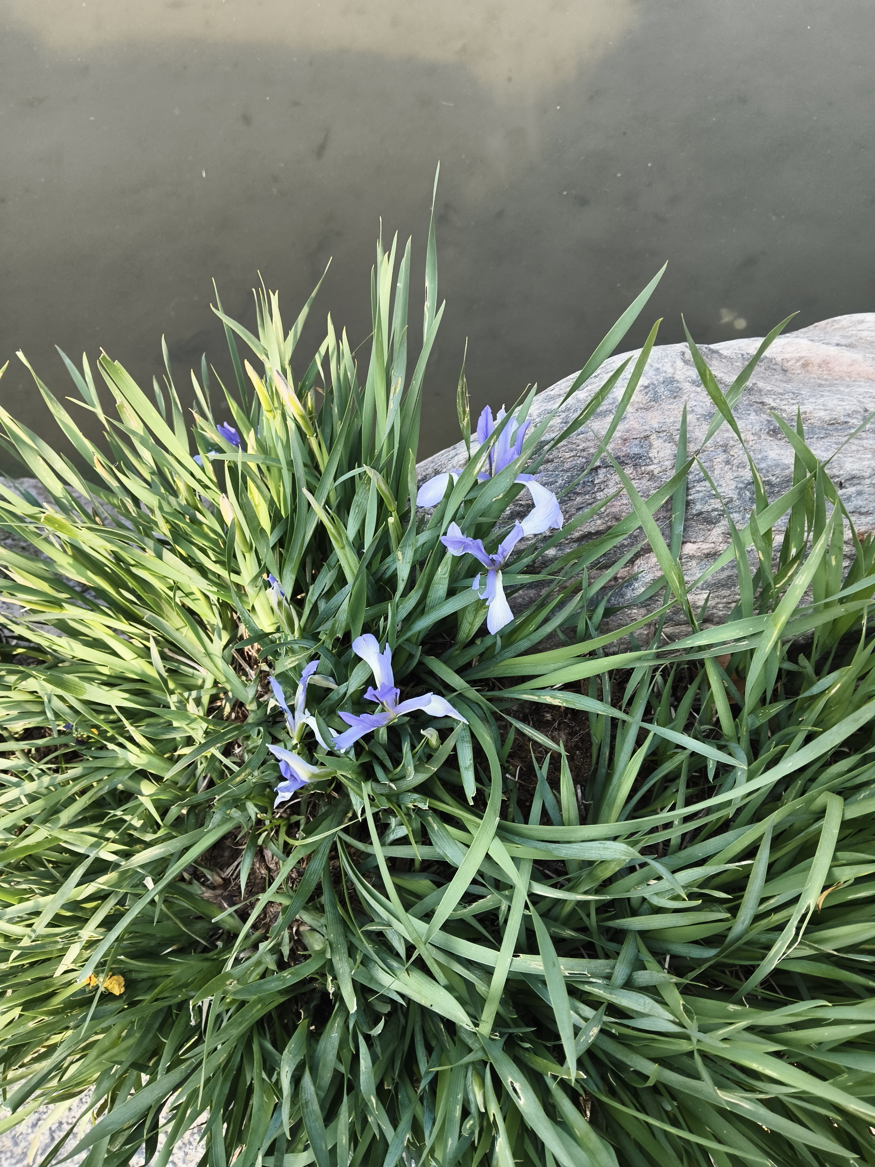 王少杰凭借自己身高2.08米优势，王少杰在接球后如闪电般快速攻筐，一...