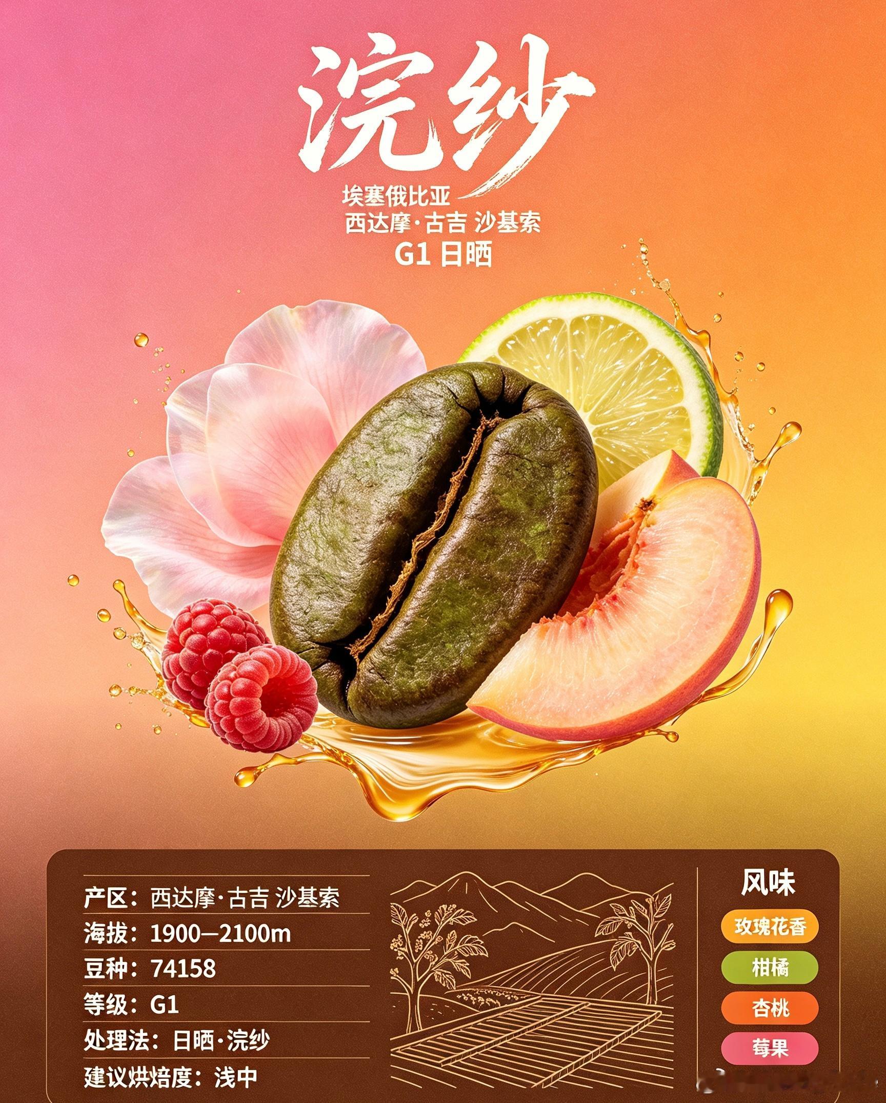埃塞俄比亚 西达摩·古吉 沙基索 Shakiso G1 浣纱日晒 74158

古吉（Guji）隶属于埃塞俄比亚奥罗米亚州，常被归入西达摩大产区范畴，沙基索（Shakiso）是古吉南部知名的咖啡产区，这片区域以半森林种植模式为主，火山腐殖土壤搭配昼夜温差，孕育出浓郁花香与果汁感的咖啡豆。产区海拔区间1900–2100米， ​