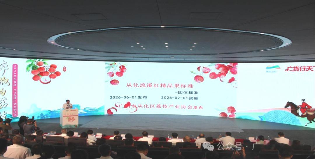 【6粒299元！广州从化荔枝卖进北京SKP，凭什么跻身全国高端第一梯队...
