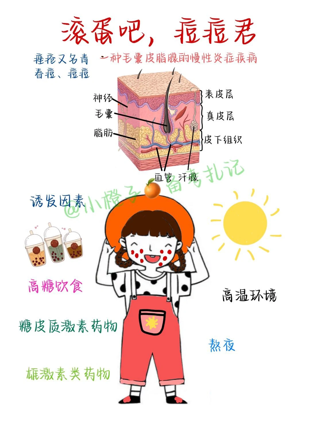 📖护师笔记｜痘痘君